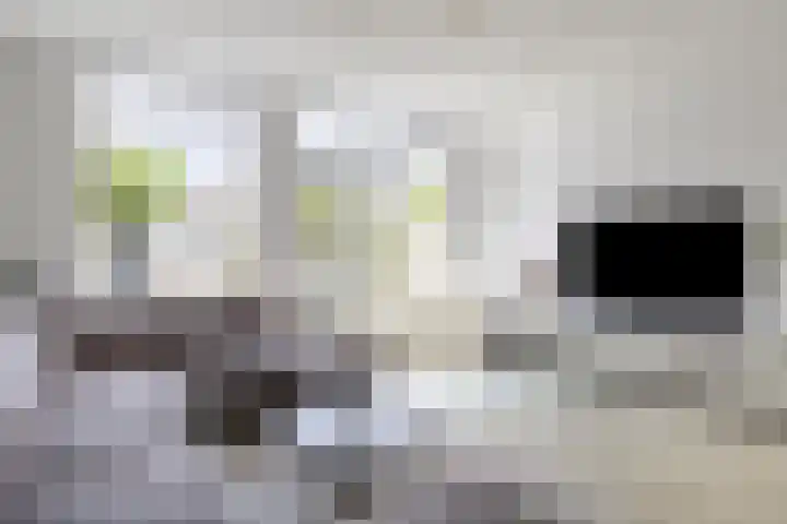 Windmolen 62 Ridderkerk thumbnail 9