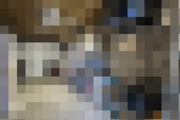 Windmolen 7 Weert thumbnail 39