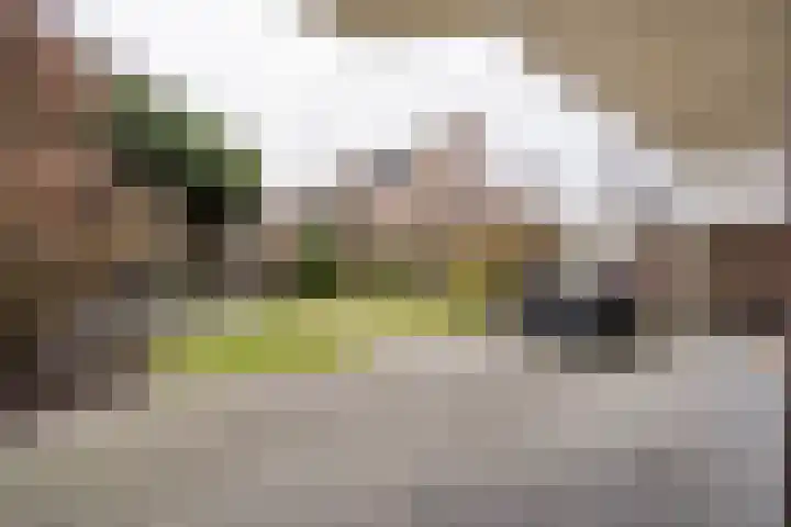 Windmolen 7 Weert thumbnail 42