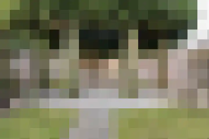 Windmolen 7 Weert thumbnail 44
