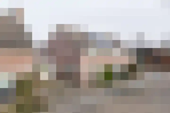 Windmolen 7 Weert thumbnail 45