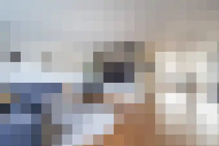 Windmolen 7 Weert thumbnail 5