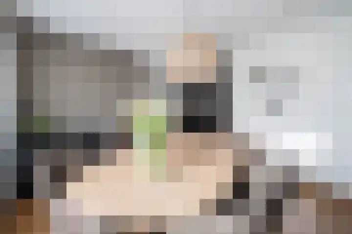 Windmolen 7 Weert thumbnail 7