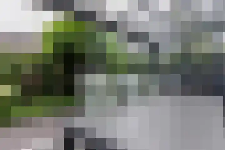 Windmolen 8 Berkel-Enschot thumbnail 35