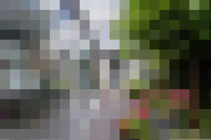 Windmolen 8 Berkel-Enschot thumbnail 37