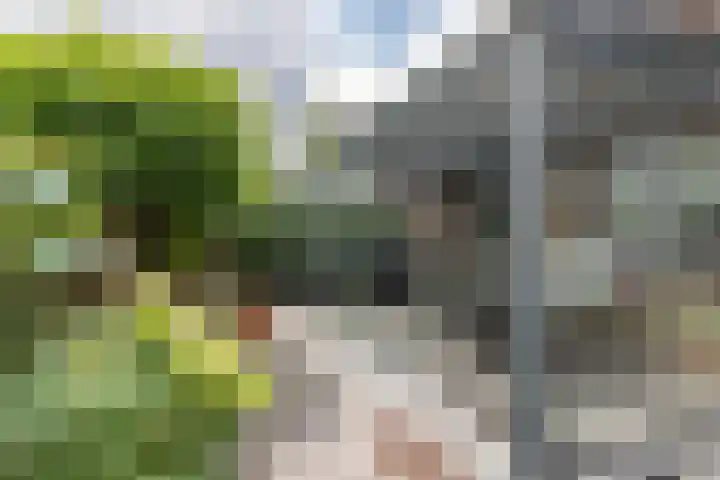 Windmolen 8 Berkel-Enschot thumbnail 4