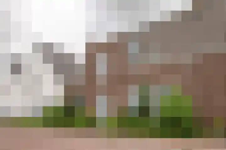 Windmolen 8 Berkel-Enschot thumbnail 42