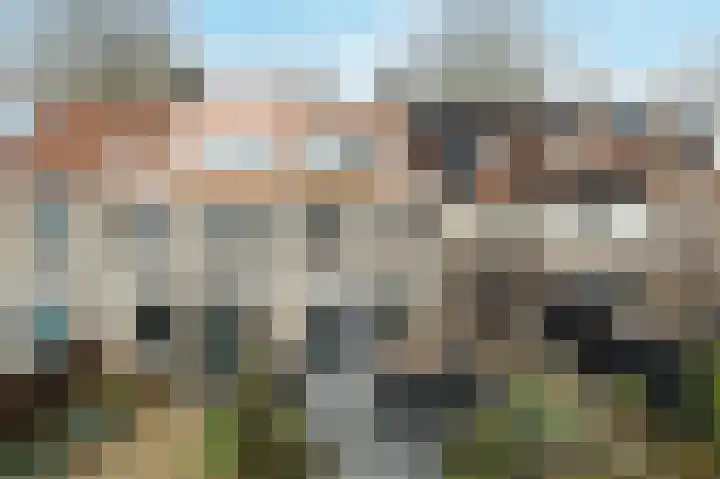 Windmolen 8 Ridderkerk thumbnail 25