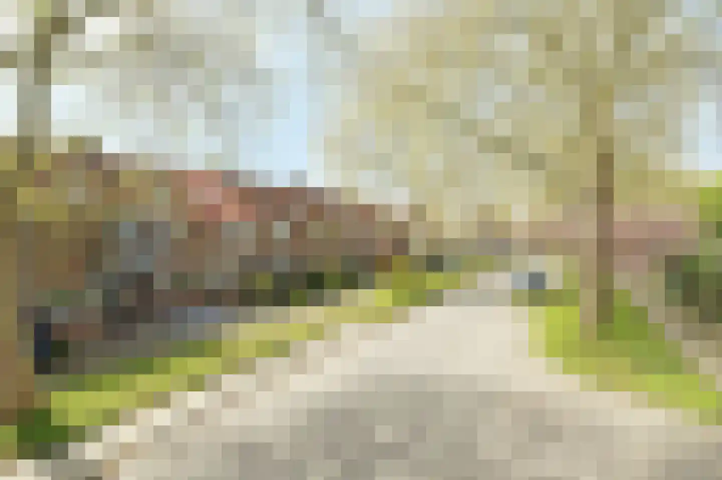 Windmolen 8 Ridderkerk thumbnail 27