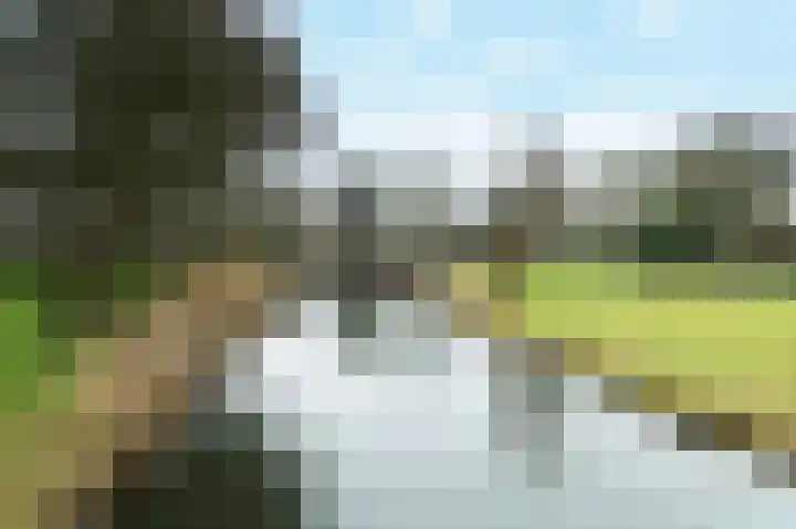 Windmolen 8 Ridderkerk thumbnail 28