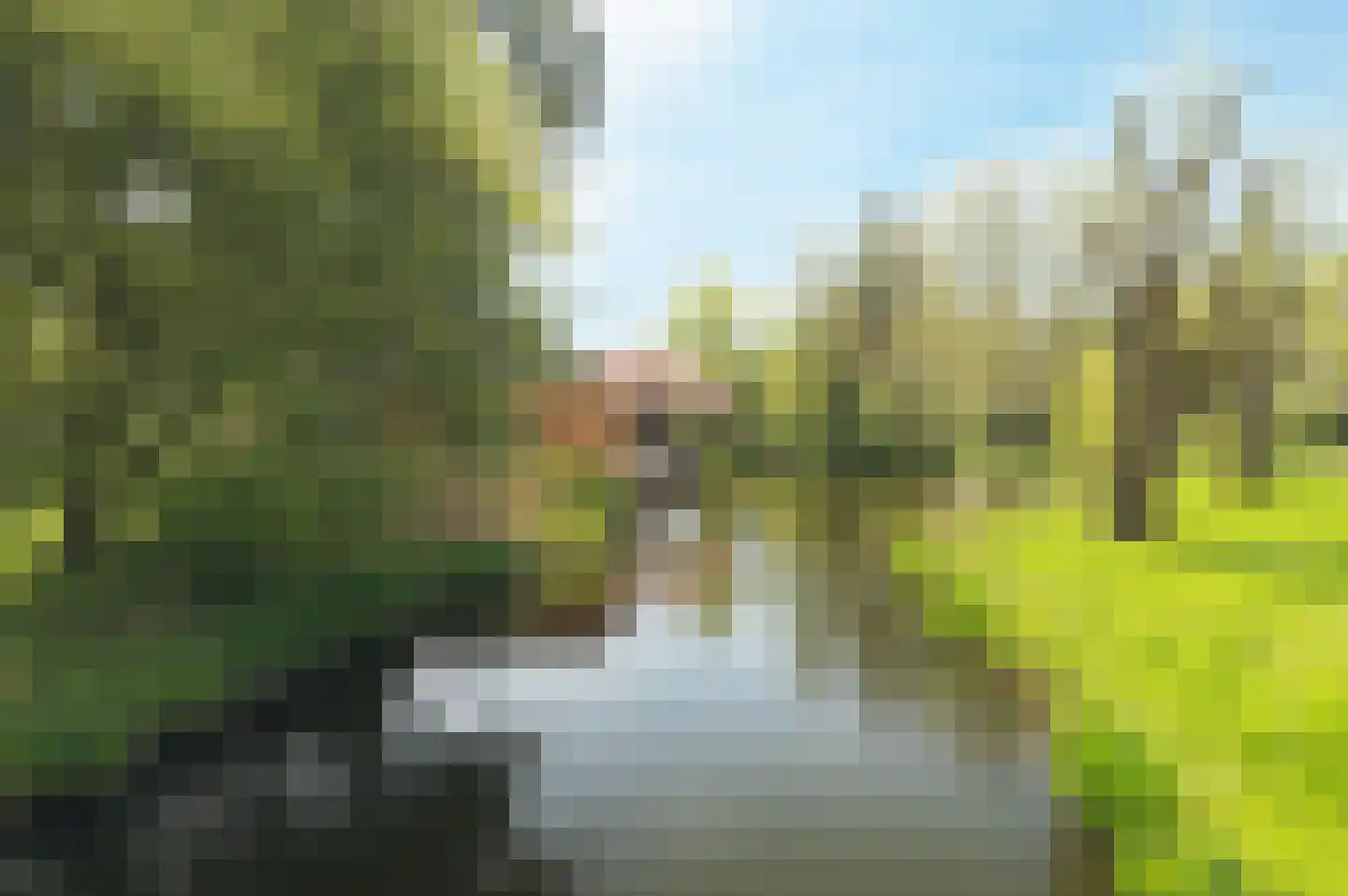 Windmolen 8 Ridderkerk thumbnail 29
