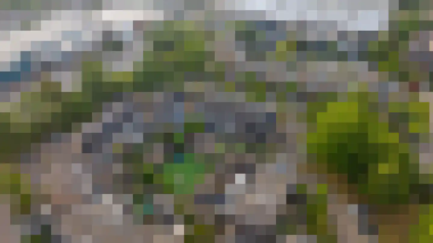 Windmolen 8 Wateringen thumbnail 35