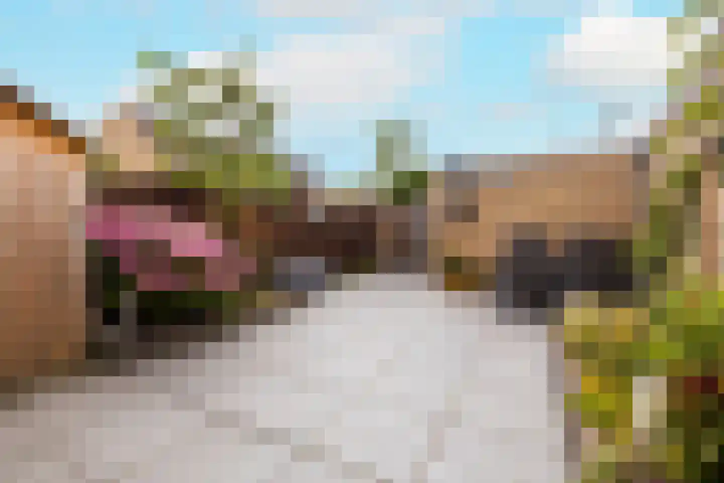 Windmolen 8 Wateringen thumbnail 5