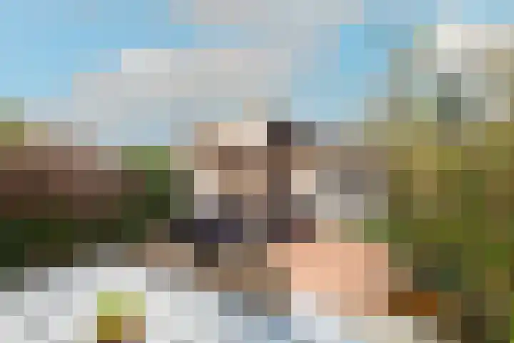 Windmolen 9 Heerhugowaard thumbnail 6