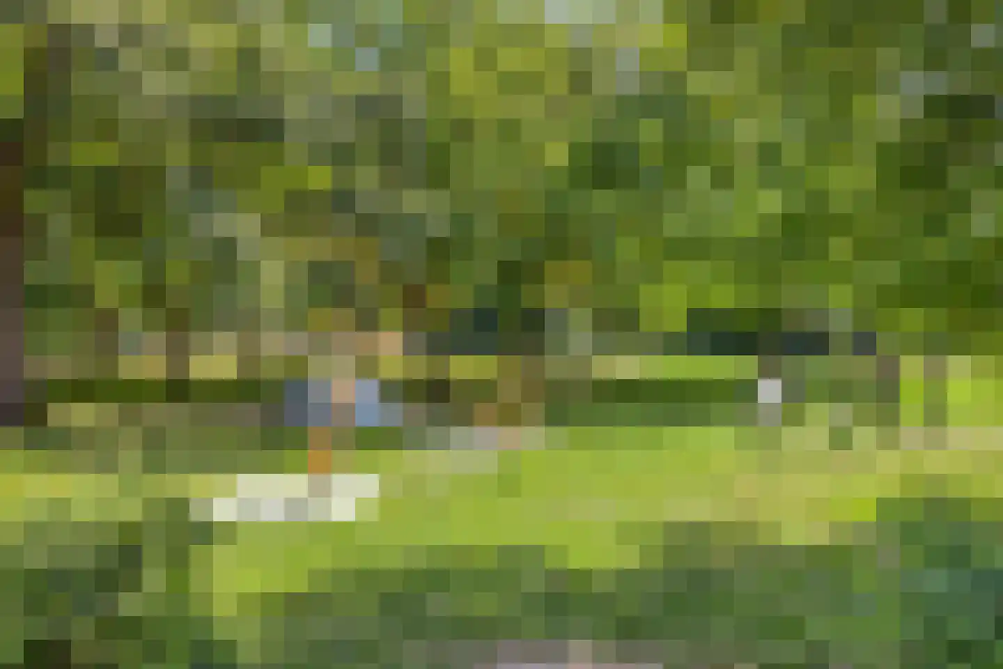 Windmolen 93 Hoorn thumbnail 33