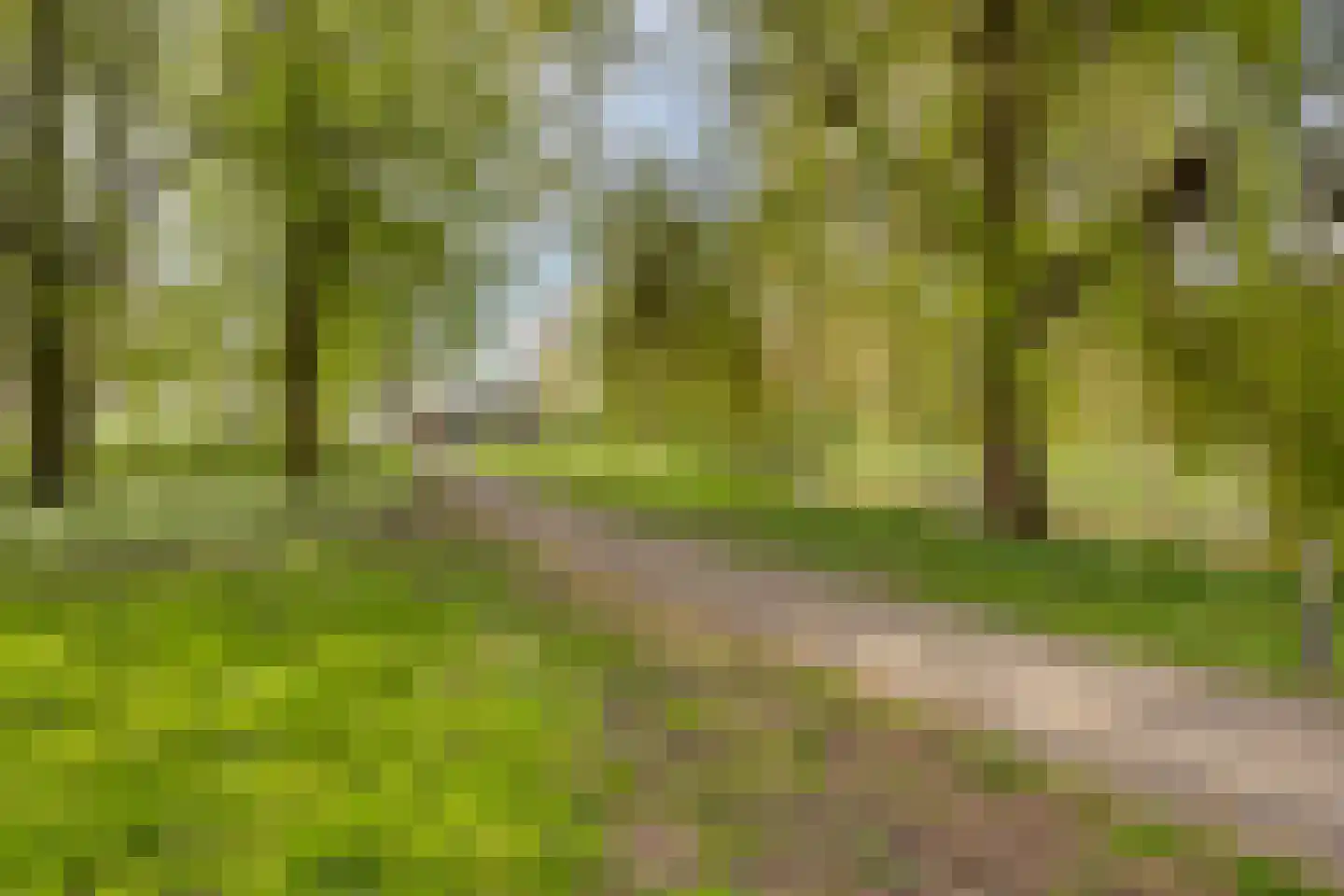 Windmolen 94 Hoorn thumbnail 29