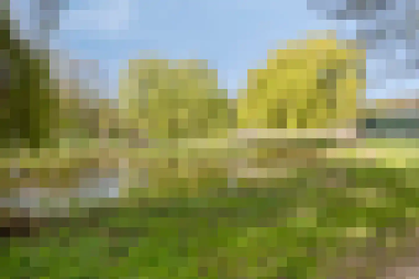 Windmolen 94 Hoorn thumbnail 30