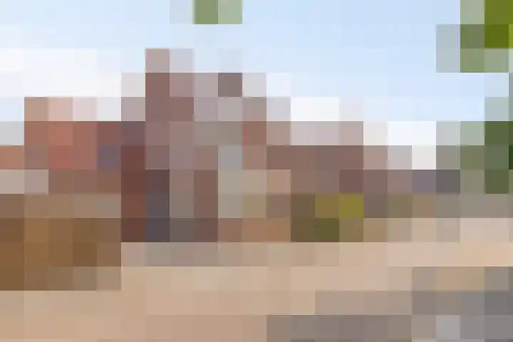 Windmolen 97 Ridderkerk thumbnail 42