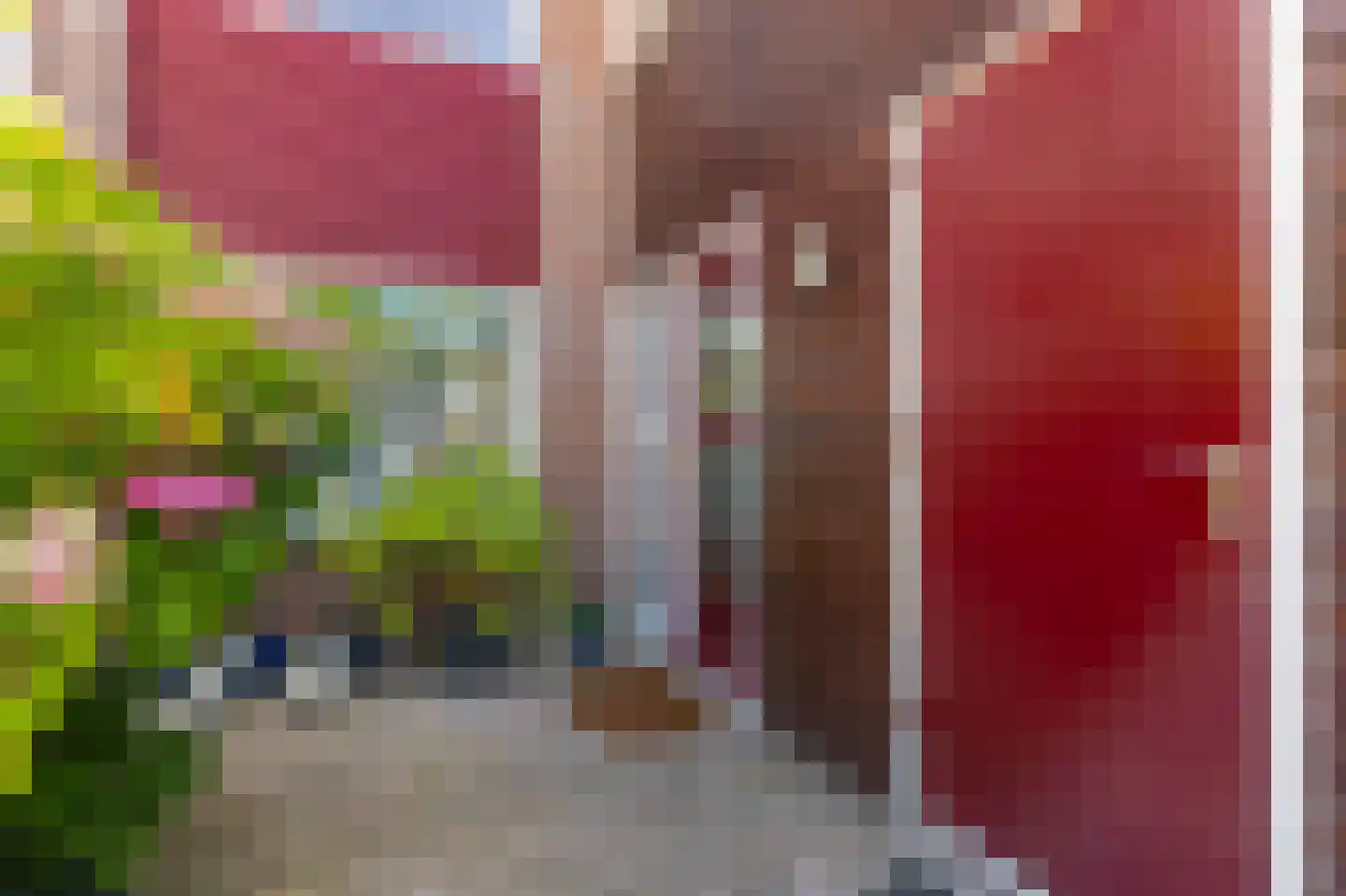 Windmolen 98 Hoorn thumbnail 8