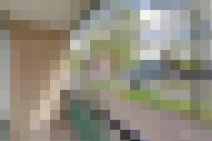 Windmolenbroeksweg 17 Almelo thumbnail 19