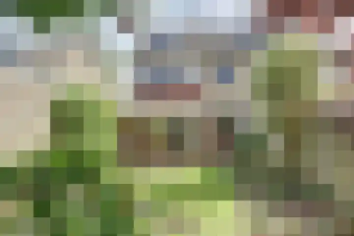 Windmolenbroeksweg 17 Almelo thumbnail 24