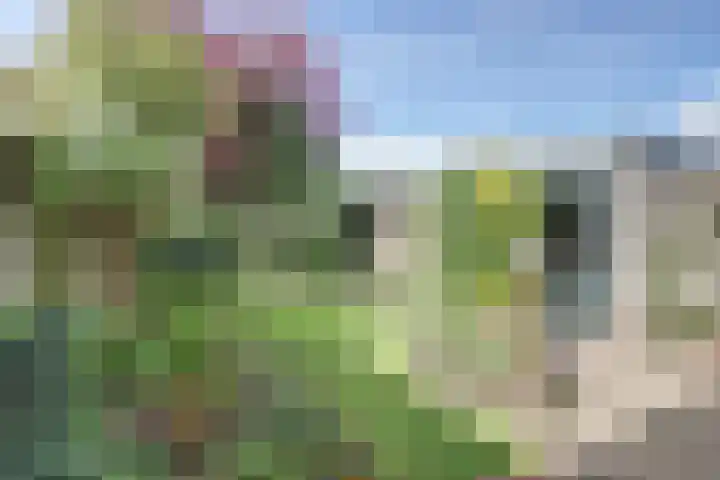 Windmolenbroeksweg 17 Almelo thumbnail 25