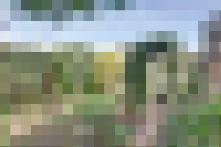 Windmolenbroeksweg 17 Almelo thumbnail 26