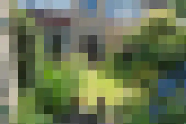 Windmolenbroeksweg 17 Almelo thumbnail 27