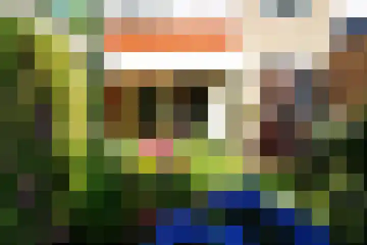 Windmolenbroeksweg 17 Almelo thumbnail 28