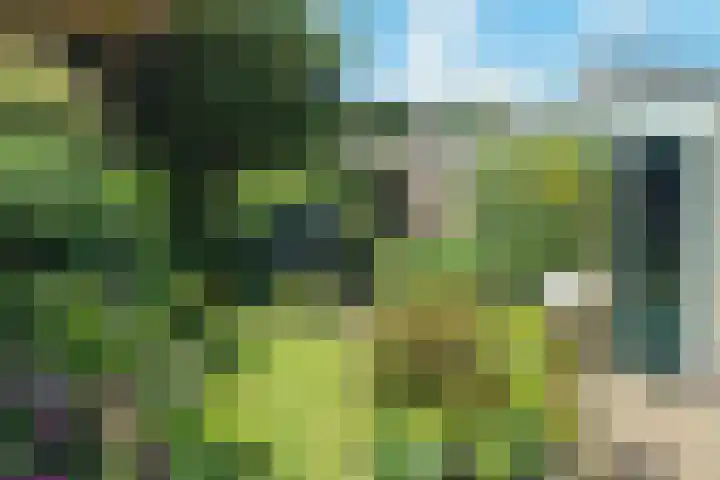 Windmolenbroeksweg 17 Almelo thumbnail 29