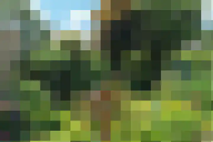 Windmolenbroeksweg 17 Almelo thumbnail 30