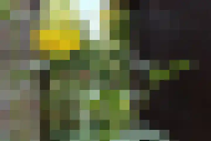 Windmolenbroeksweg 17 Almelo thumbnail 31