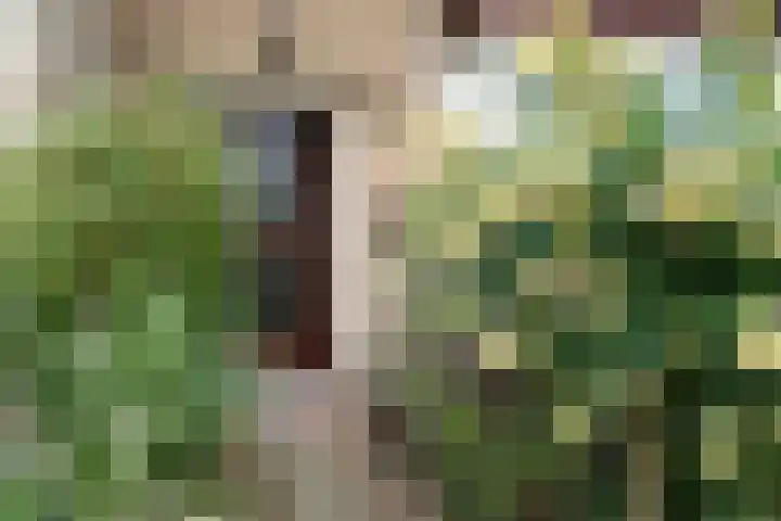 Windmolenbroeksweg 17 Almelo thumbnail 32