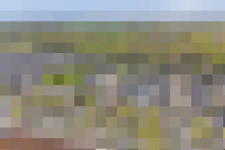Windmolenbroeksweg 17 Almelo thumbnail 35