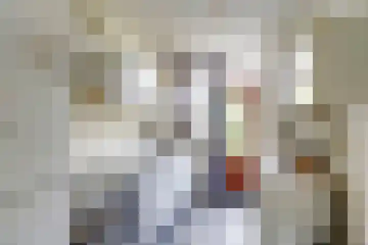 Windmolenbroeksweg 17 Almelo thumbnail 6