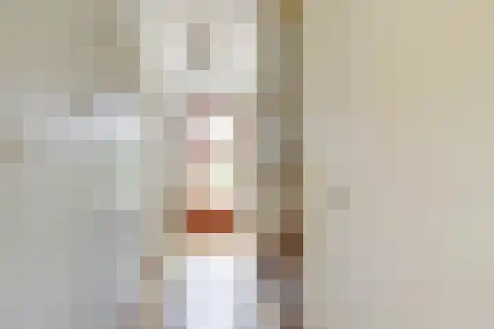 Windmolenbroeksweg 17 Almelo thumbnail 8