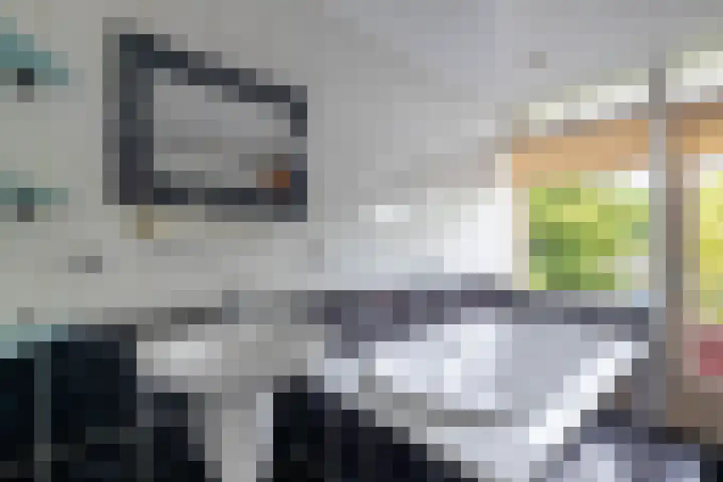 Windmolenbroeksweg 25 Almelo thumbnail 15