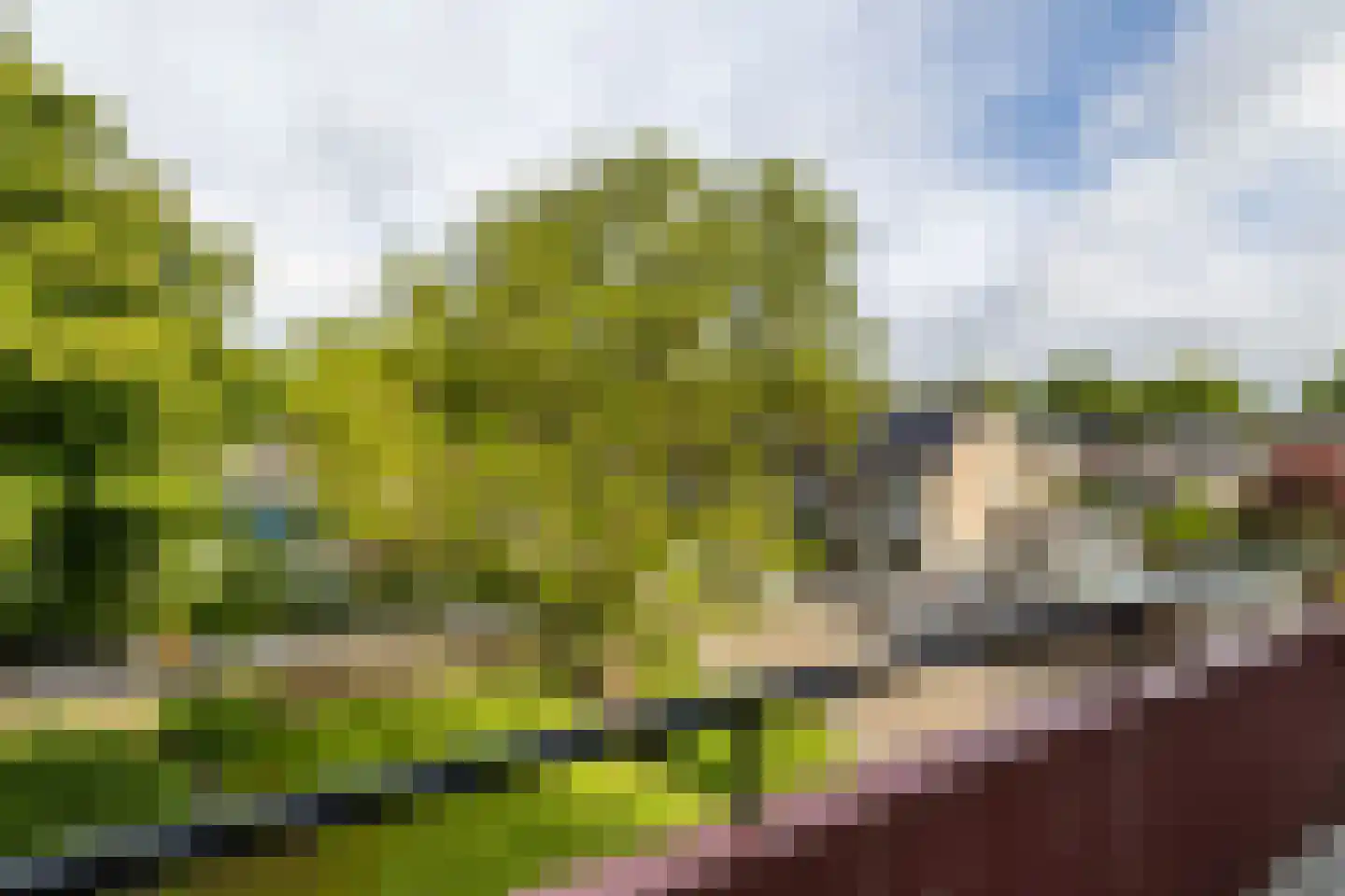 Windmolenbroeksweg 25 Almelo thumbnail 16