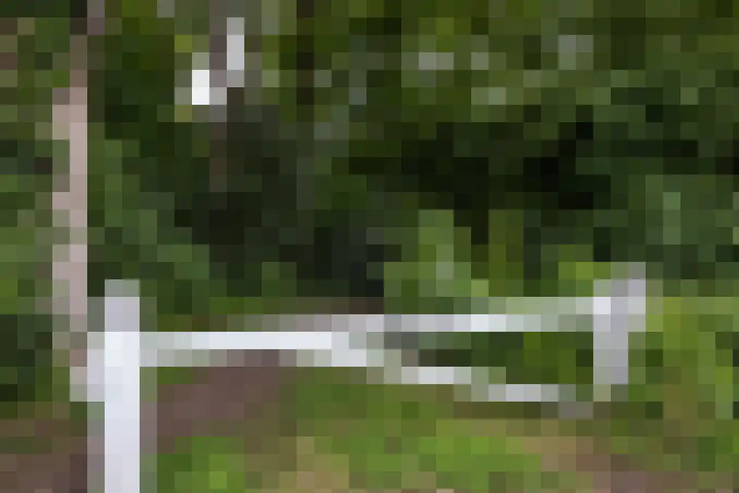 Windmolenbroeksweg 25 Almelo thumbnail 18