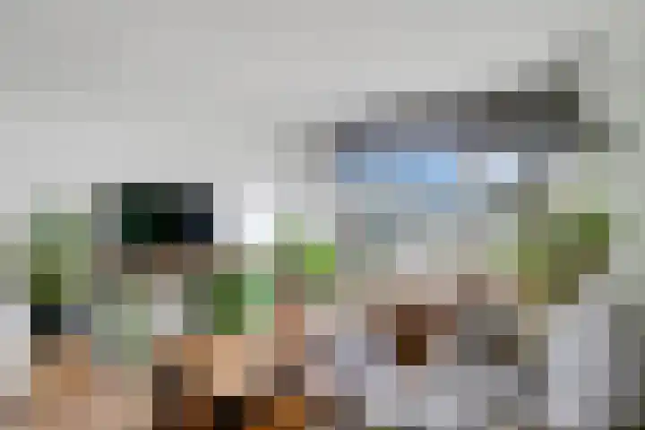 Windmolenbroeksweg 57 Almelo thumbnail 10