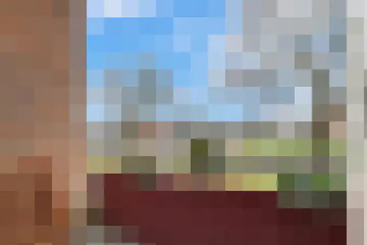 Windmolenbroeksweg 57 Almelo thumbnail 22