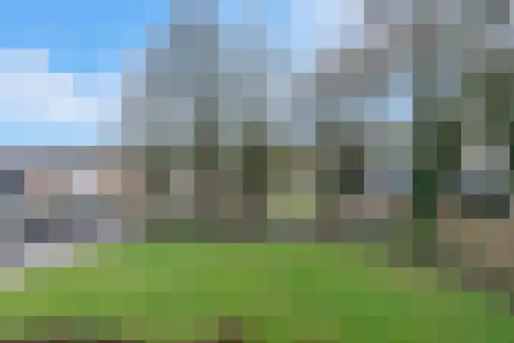 Windmolenbroeksweg 57 Almelo thumbnail 24