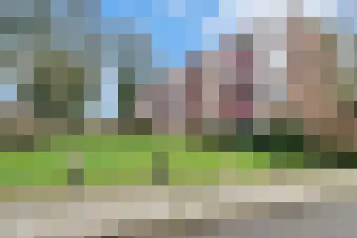 Windmolenbroeksweg 57 Almelo thumbnail 6
