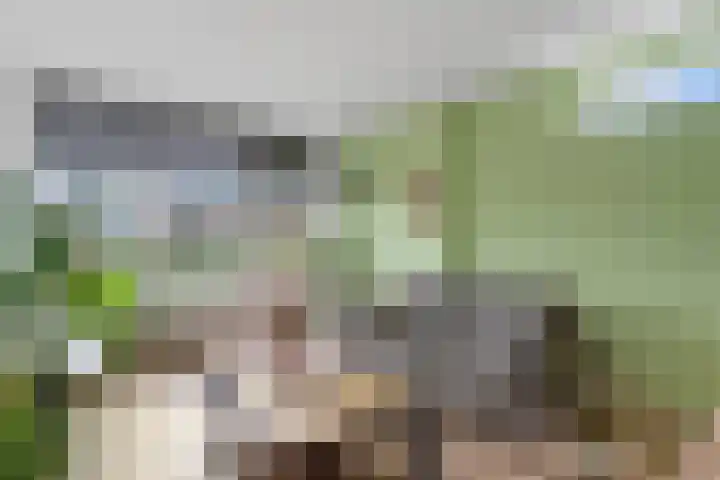 Windmolenbroeksweg 57 Almelo thumbnail 9