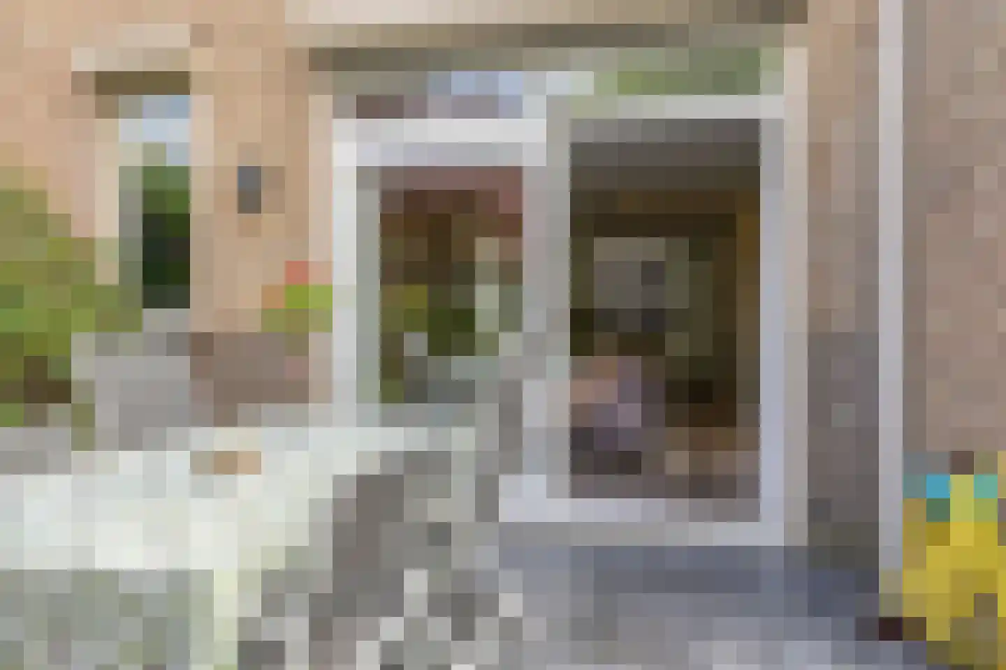Windmolenstraat 125 Helmond thumbnail 40