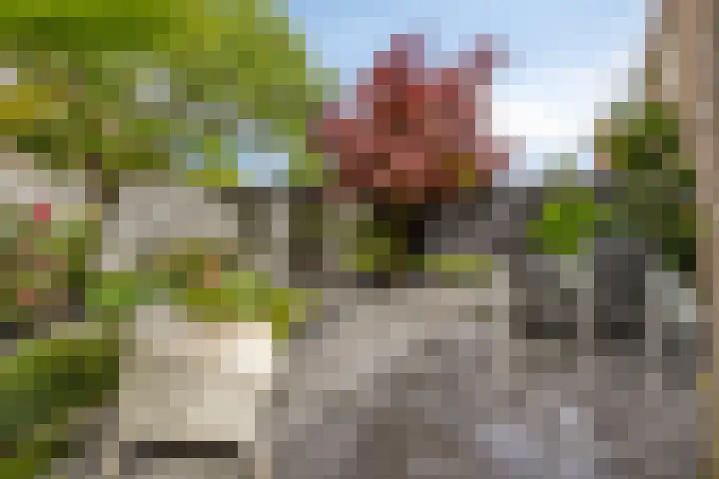 Windmolenstraat 125 Helmond thumbnail 6