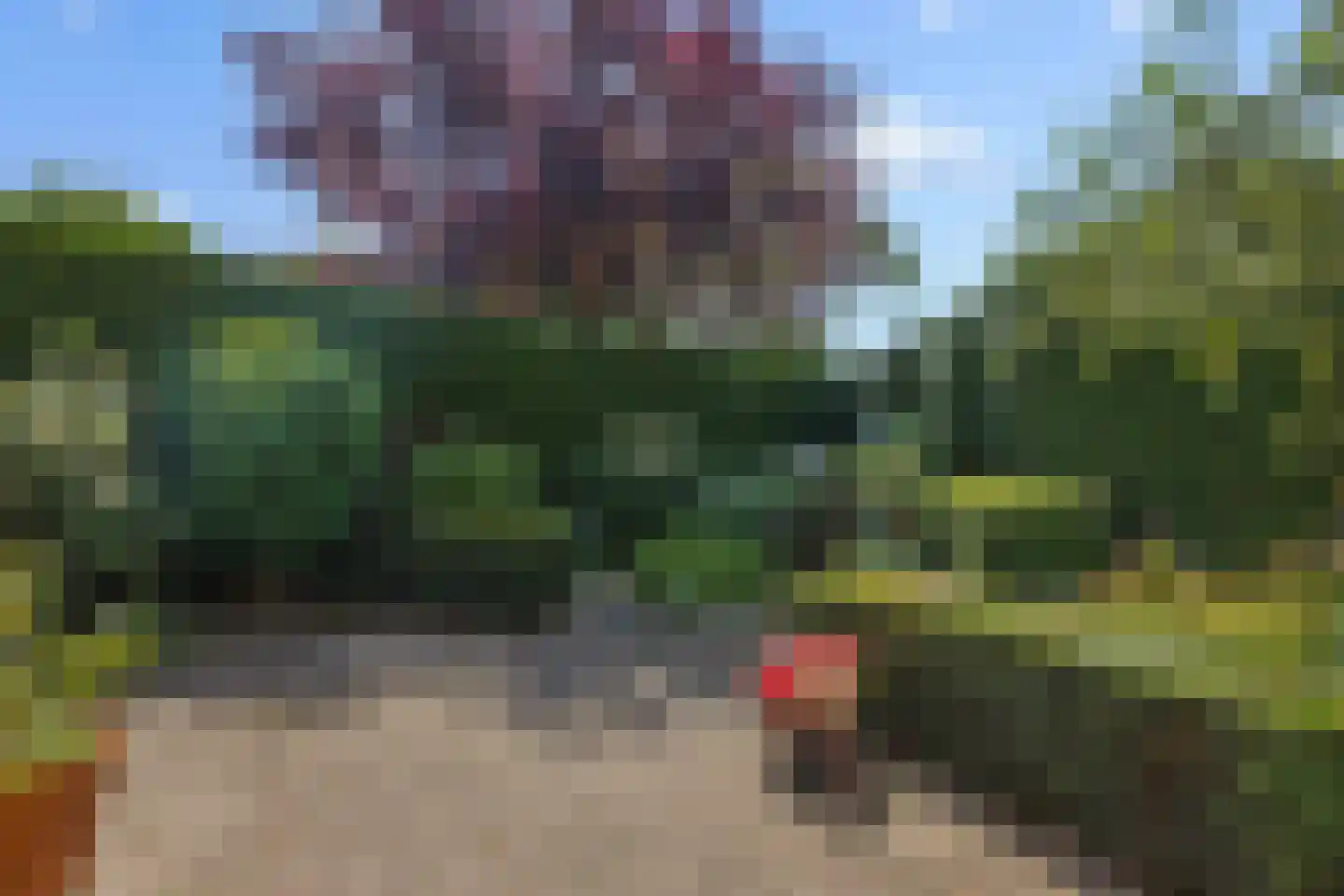 Windmolenstraat 92 Helmond thumbnail 29
