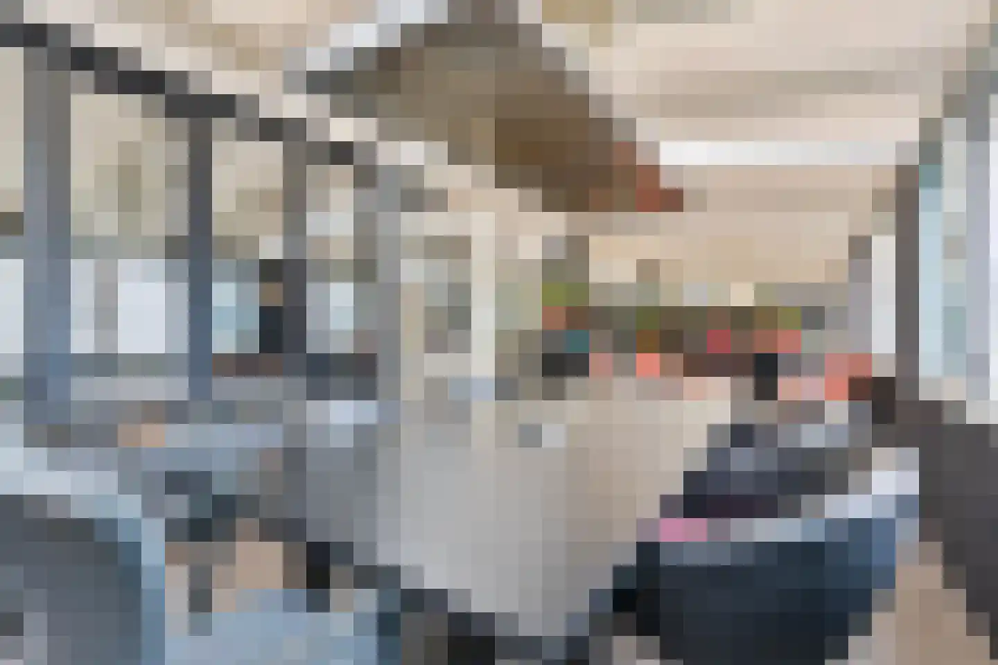 Windmolenven 27 Haelen thumbnail 18
