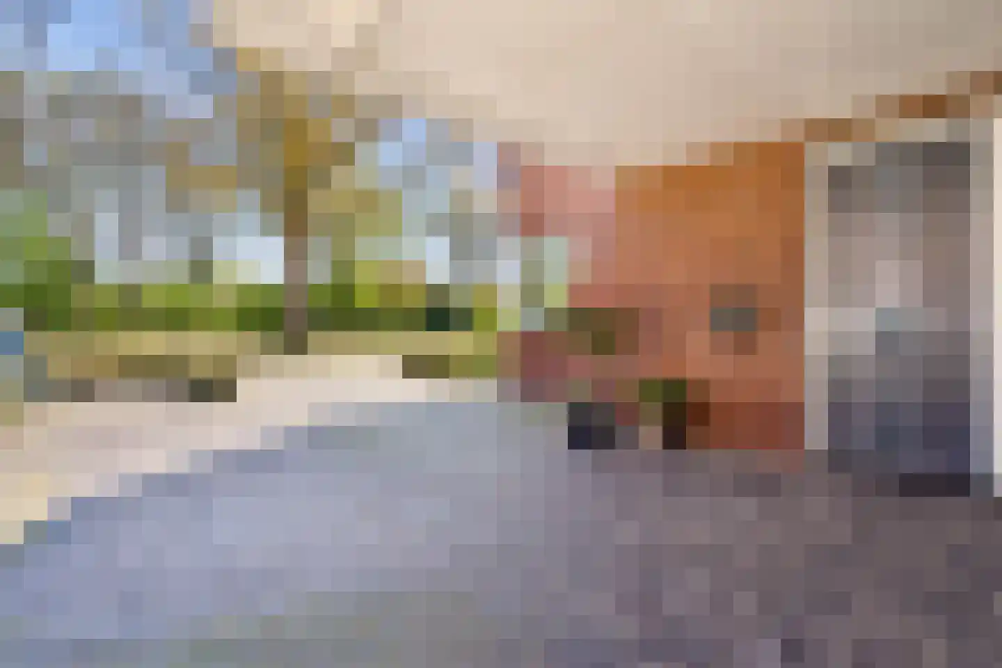 Windpeluw 5 Nunspeet thumbnail 4