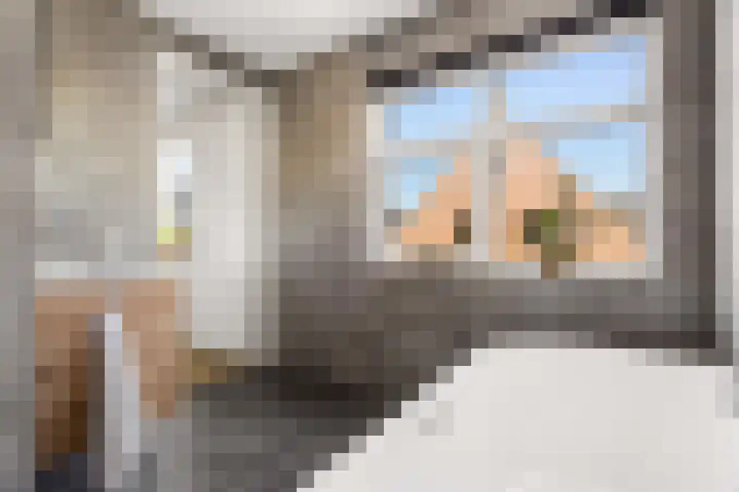 Windpeluw 5 Nunspeet thumbnail 45